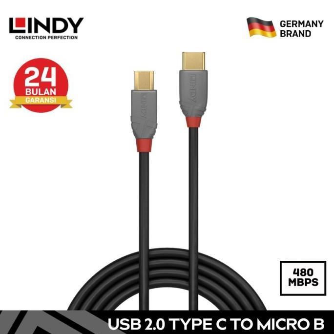 Akata- Lindy 36891 1M Kabel Usb Type C To Micro Usb Dac Cable 480Mbps