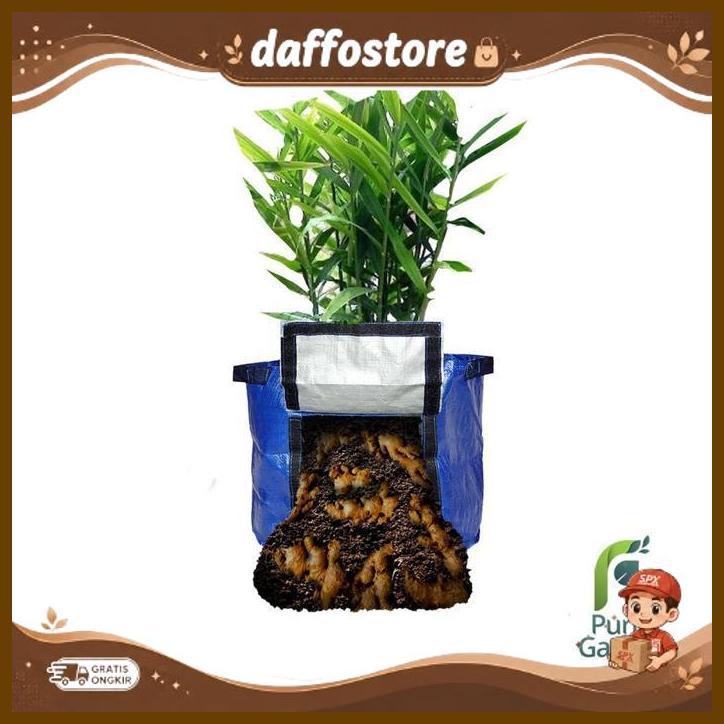 Planter Bag Rhizoma Small/Planter Bag Umbi Puriegarden Pg Kdr Terlaris