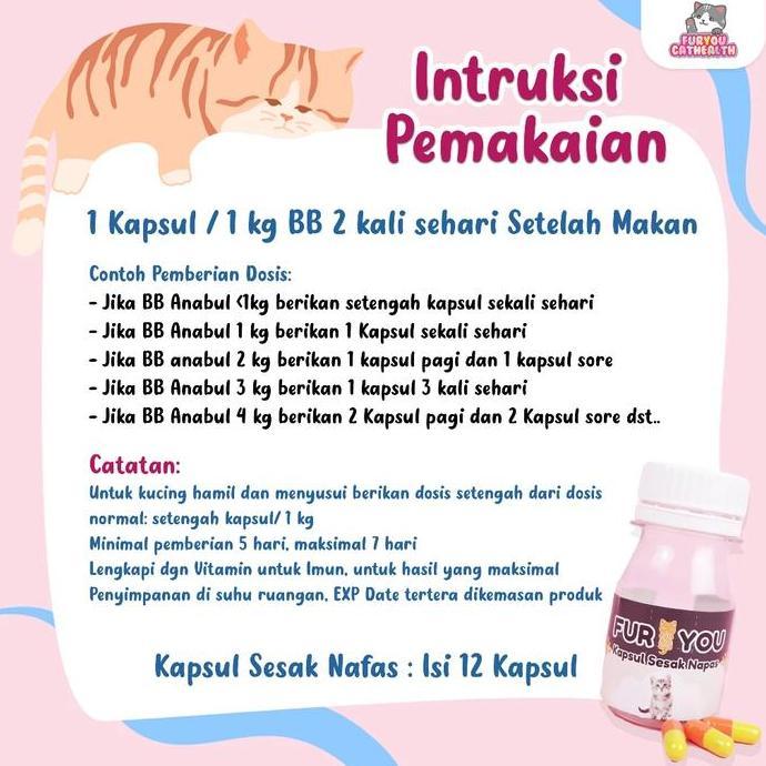 Fisher- Sesak Nafas Kucing Kapsul Kucing Sesak Nafas Kucing Grok Grok
