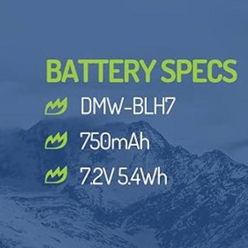 WASABI POWER Battery & Charger for Panasonic DMW-BLH7 DMW-BLH7E DMW BLH7 BLH7E Lumix DC GX800 GX850 