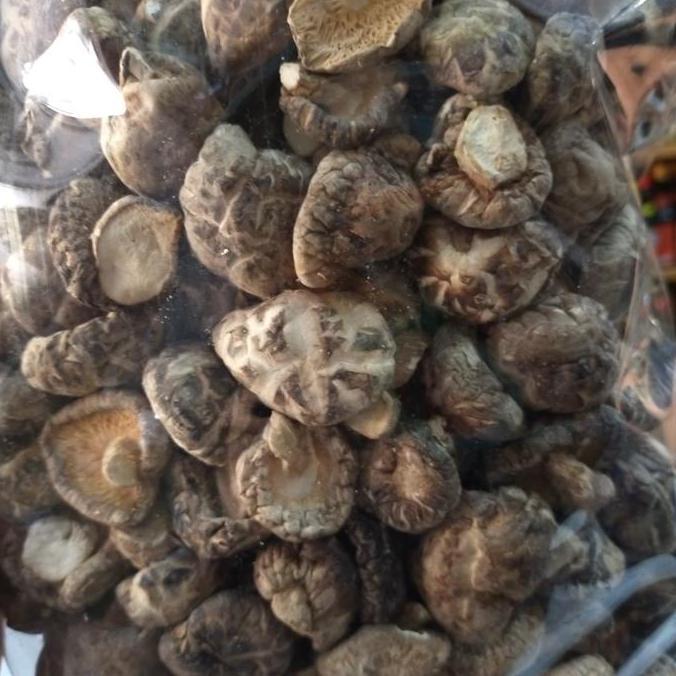 Jamur Hioko Kering/ Dried Shitake Mushroom uk. 2-3cm 1kg (TEBAL)