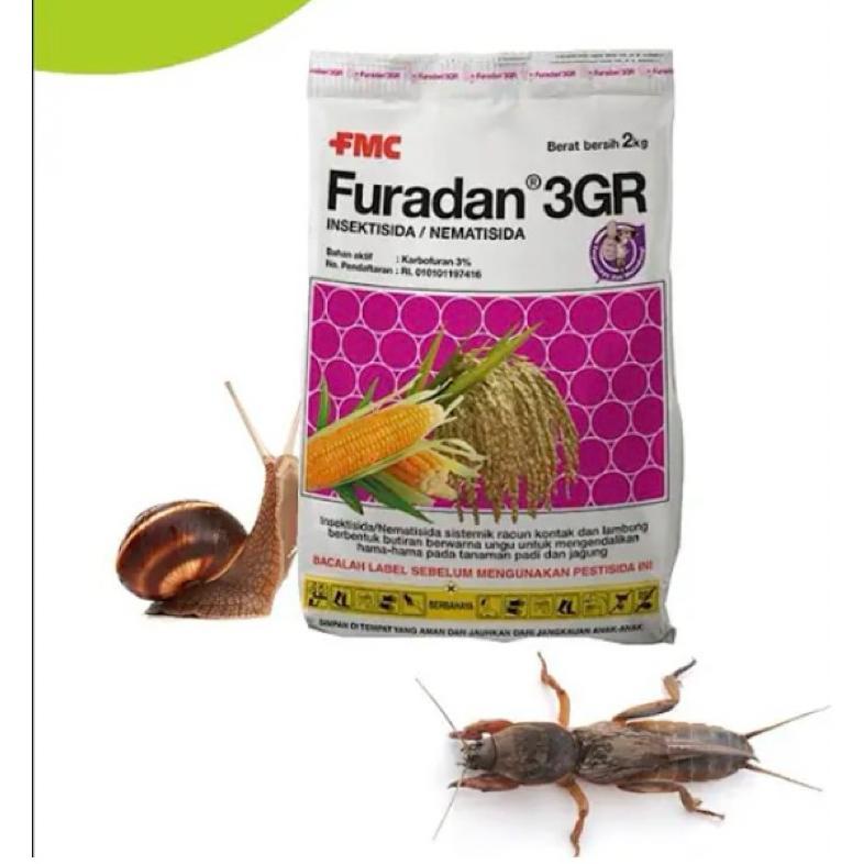 . Insektisida Furadan 3Gr 250Gram Furadan