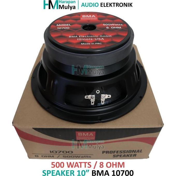 BMA 10700 Speaker 10" / Spiker 10 inch