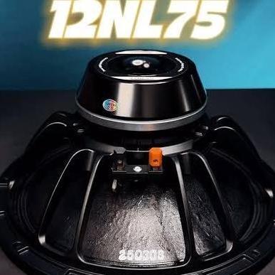 Speaker komponen wisdom 12 NL75 neo