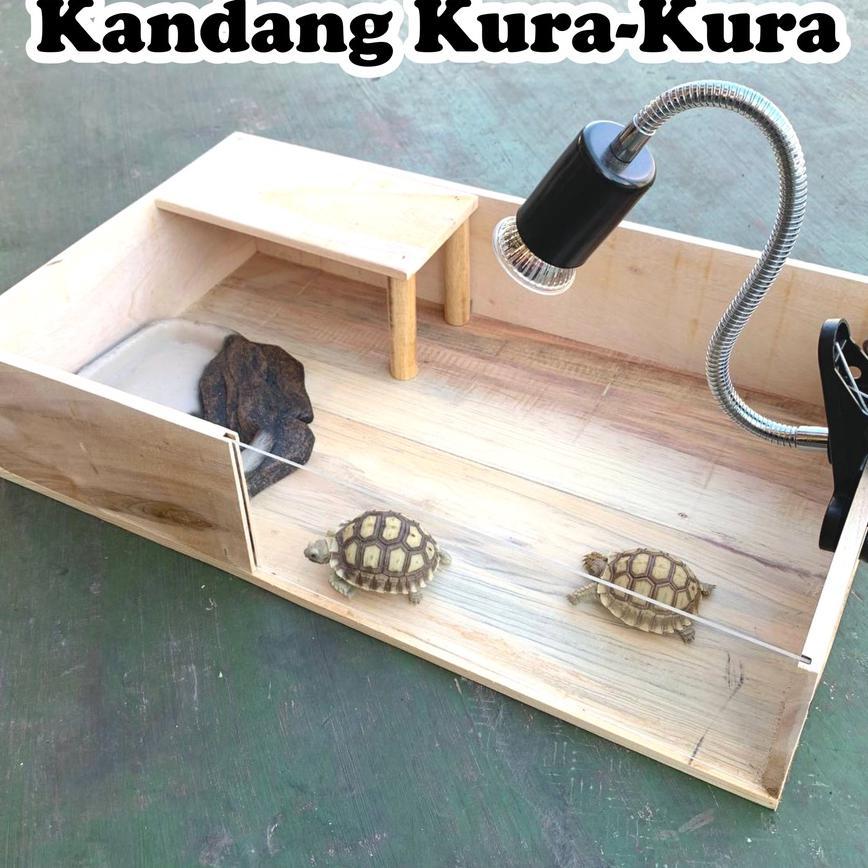 Torto Table Kandang Tortoise Sulcata Kandang Kura Kura Kandang Kayu