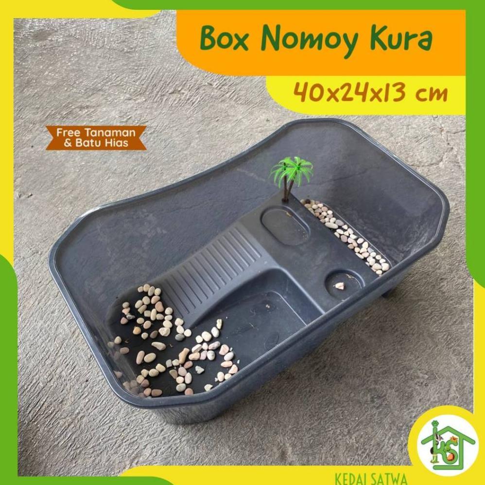 Box Nomoy Kura-Kura Air Brazil Dada Merah| Kandang Kura-Kura | Tempat Kura Kedai Satwa