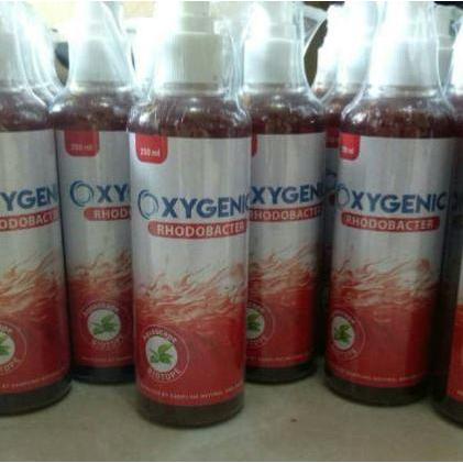 OXYGENIC AQUARIUM AQUASCAPE RHODOBACTER BACTERI STARTER 250ML