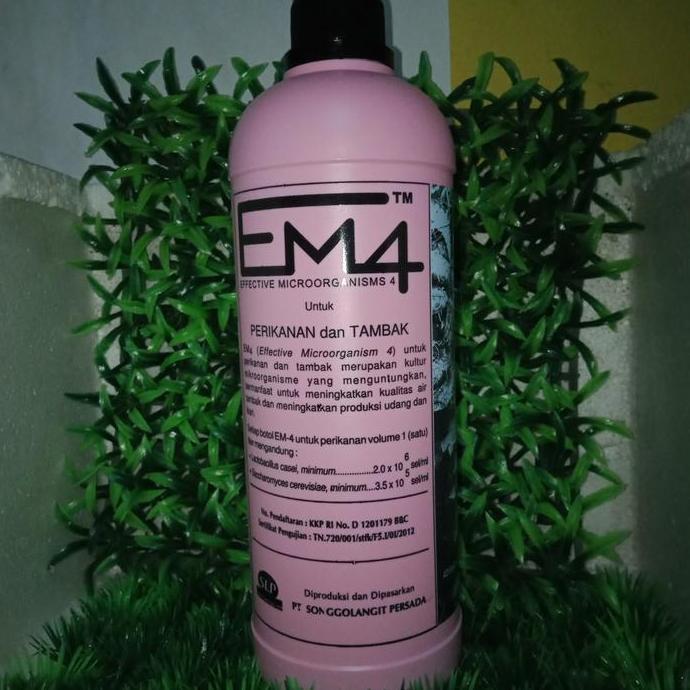 EM 4 PROBIOTIK PERIKANAN TAMBAK (1 LITER)