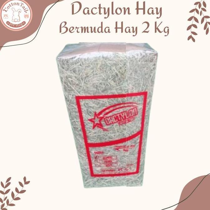 DACTYLON HAY / Rumput Kering Bermuda Pakan Kelinci & Cavy 2kg