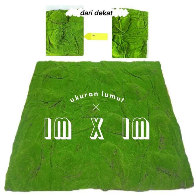 Decorao - Pt Fatih Bunga Dekorasi Lumut Rumput Artificial Moss Karpet Lumut Palsu - Moss Lumut Dindi