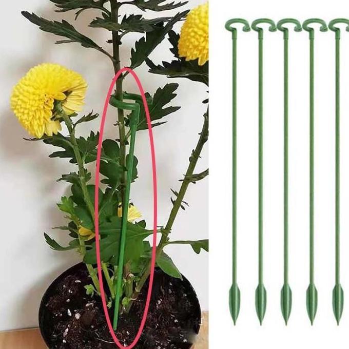 Parque - 10 Pcs Penyangga Anggrek Plant Stake Pvc Penyangga Tanaman Rambat Penyangga Bunga Anggrek