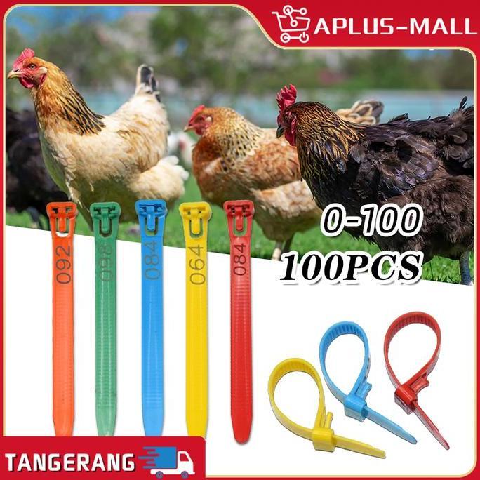 TSE 100PCS Cincin Kaki Ayam Untuk 10~28MM Reusable Ring Kaki Ayam Serama Adjustable Bahan PP