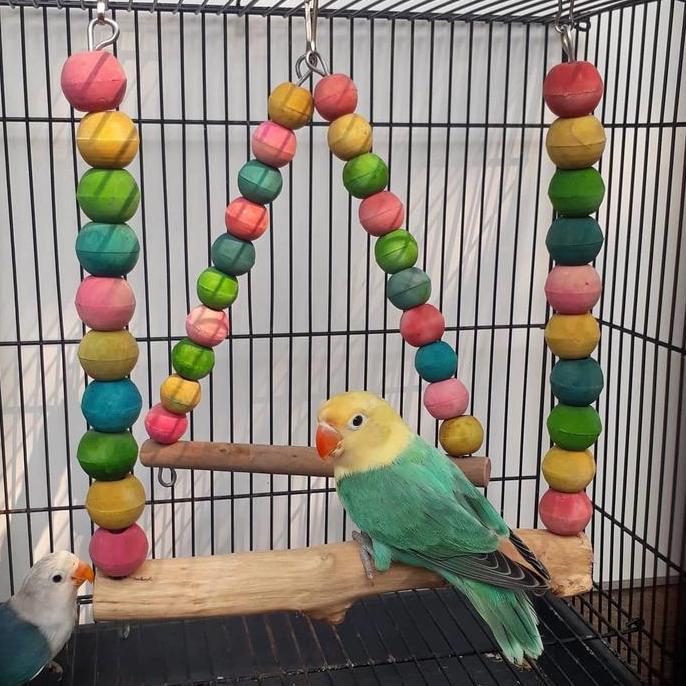 Mainan bermain burung / ayunan burung