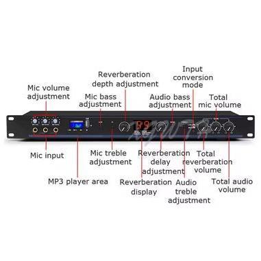 Profesional Audio Dsp 100 Dsp 99 Effect Efek Vokal Pre Amplifier Mic