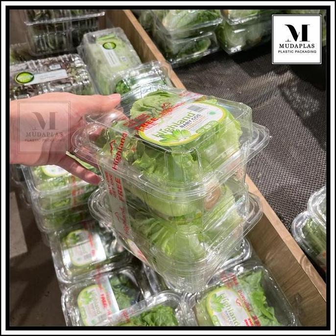 Pack- Mika Box 500 Ml Salad Buah Sayur Mb 500 / Box Mika Buah Sayur Salad Isi 50 Pcs