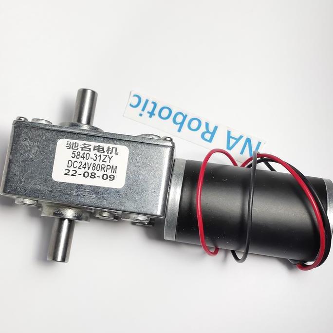 Motor DC 31ZY 24V 80RPM Dual Shaft