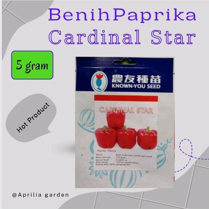 Benih Bibit Paprika Merah Cardinal Star 5gr Original Known You Seed