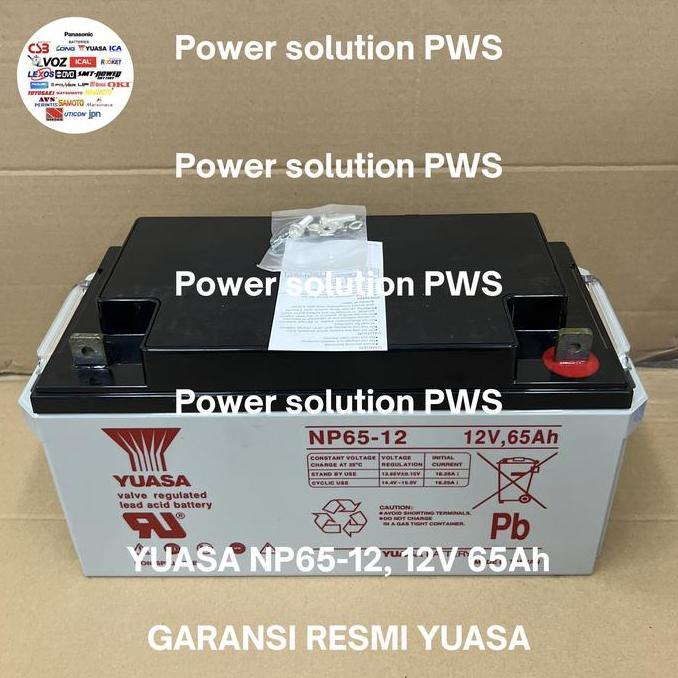 Yuasa NP65-12 UPS