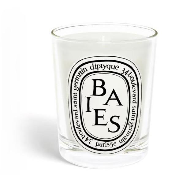Diptyque Paris Candle FEU DE BOIS Baies ___maxie Oasis