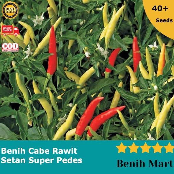 Promo Benih Bibit Cabai Cabe Rawit Setan Lentera F1 Unggul Super Pedes Cod