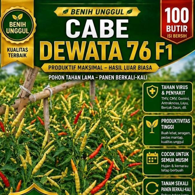 Promo Dewata 76 F1 Isi 100 Butir Bibit Cabai Rawit Hibrida Pertumbuhan Menyemak Hasil 1.2-1.5 Kg Per