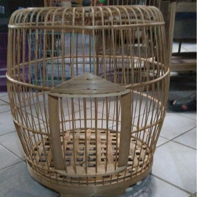 Sangkar Ayam Hutan,Bekisar Betina Dll