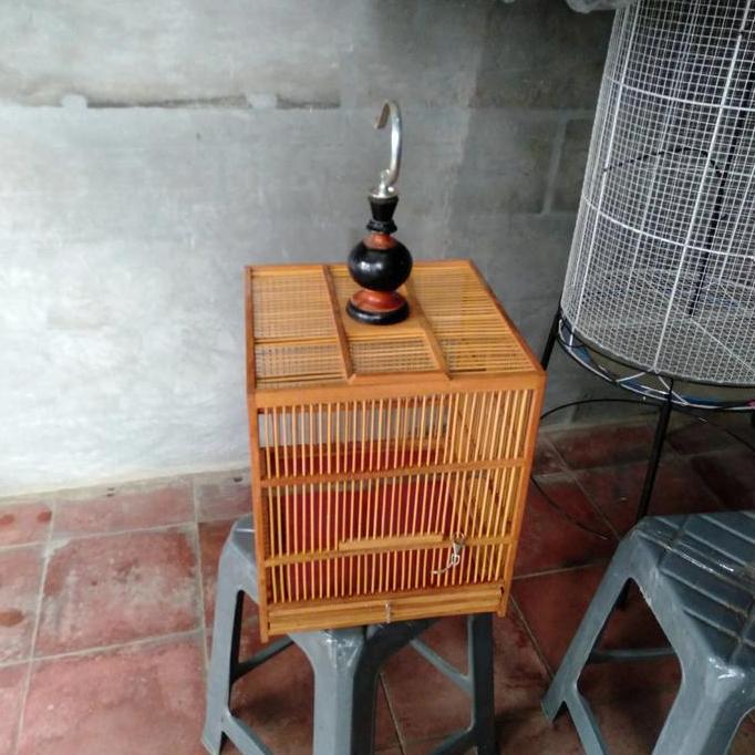 Sangkar Burung Penjinakan Wambie.