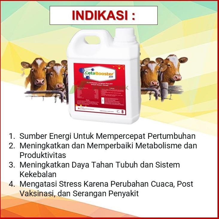 Stok Ready Ceta Booster Atp - Multivitamin Lengkap Plus Atp Untuk Hewan Ternak
