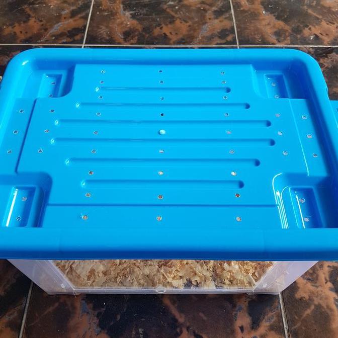 Kontainer box modif akrilik kandang hamster landak mini reptil