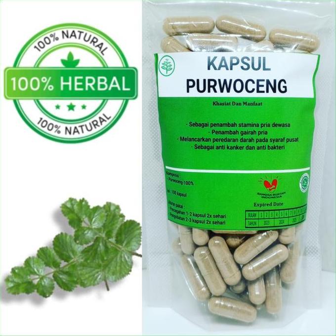 Healthy- Kapsul Purwoceng Isi 100