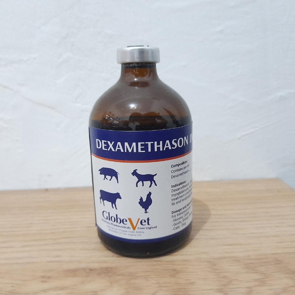 Stok Ready Dexa Globe Vet 100 Ml By Holland - Dexamethason Analgesia, Antipiretika Dan Antiinflamasi