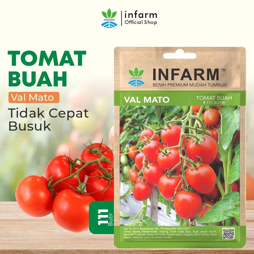 INFARM - Benih Buah Tomat Valmato Bibit Buah Tomat Manis Biji Tomat Buah Valmato Tomat Buah Manis Pr