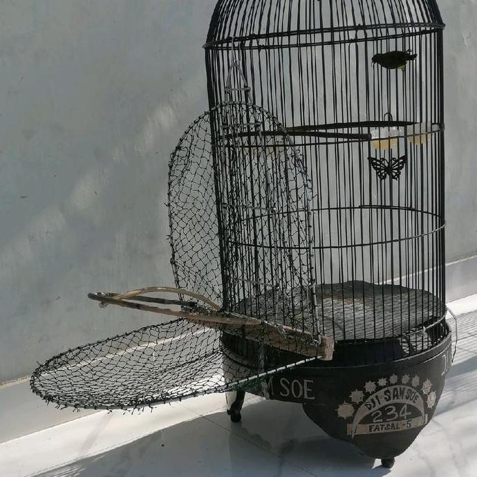 Jebakan Burung, Jebakan Burung Kecil, Jebakan Ciblek, Sogon, Pleci, Kolibri, Perjak Jebakan Cendet, 