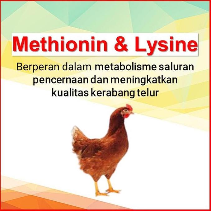 Mix Master LQ Layer - Premix Cair Untuk Ayam Petelur