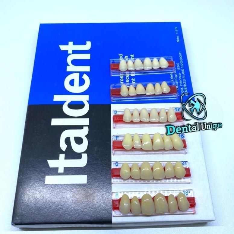 Gigi palsu italdent Perbox italdent depan atas Anterior Atas