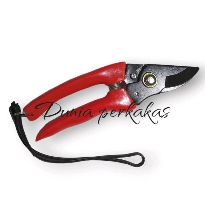 gunting dahan star tiger77 gunting ranting batang pohon