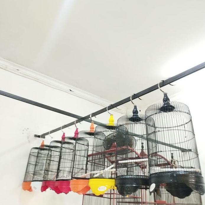 SANGKAR BESI IMPORT KANDANG BURUNG PLECI CIBLEK KANDANG PLECI HELOPET murah