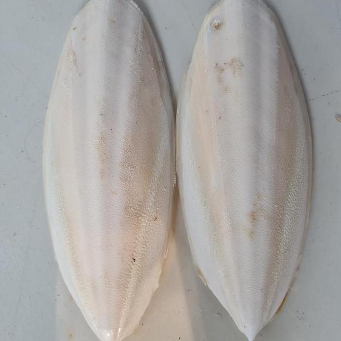 Tulang sotong size 10 - 15cm an pakan burung murah