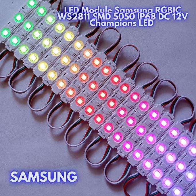 LED Module Samsung SMD 5050 RGBIC WS2811 IP68 DC 12V