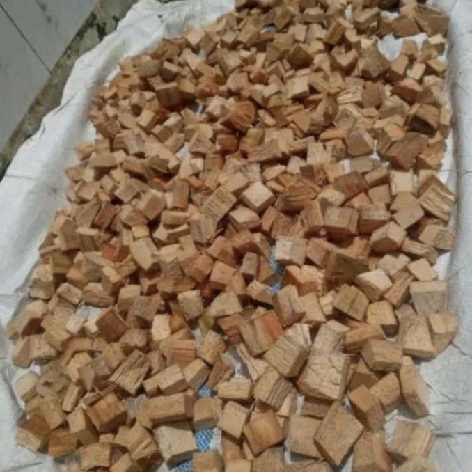 Media tanam cocochip / alas reptil