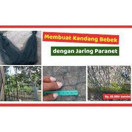 Jaring Ayam Lebar 3 Meter x panjang 25 meter Jaring Pagar Ayam Jaring Pagar Tanaman, Jaring ayam