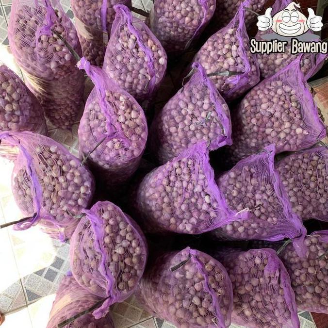 Spice- Bawang Putih Tunggal/Bawang Lanang Tunggal Import Jumbo 1Kg