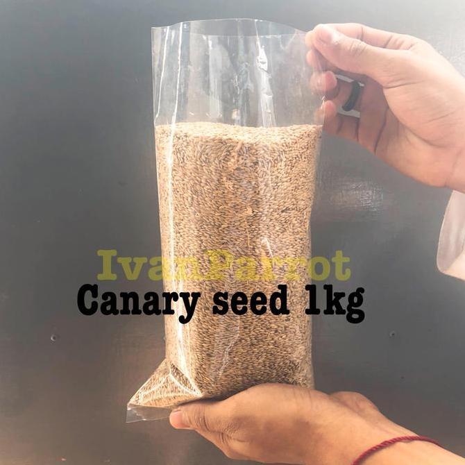 Fugl- Biji Kenari Canary Seed 1 Kiloan Merk Vita Import