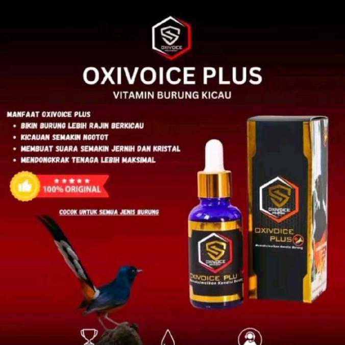 PROMO DISKON - Oxivoice Plus vitamin burung murai batu untuk harian dan lomba