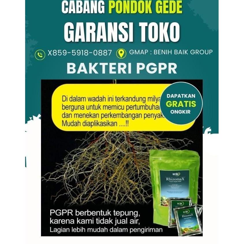 Pupuk Organik PGPR Rhizomax untuk Tanaman