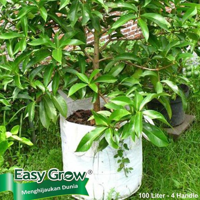 Planter Bag Easy Grow 100 Liter