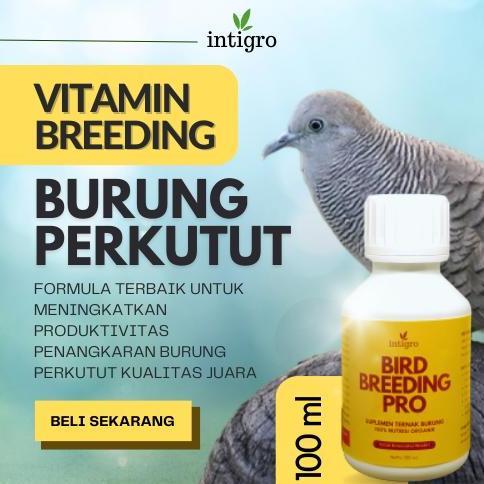 HARGA TERBAIK - Vitamin Breeding Perkutut / Obat Ternak Burung Perkutut Bangkok