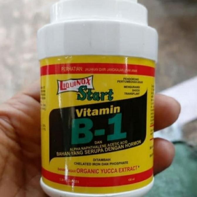 Vitamin B 1/Pupuk vitamin B 1 100ml/obat tanaman