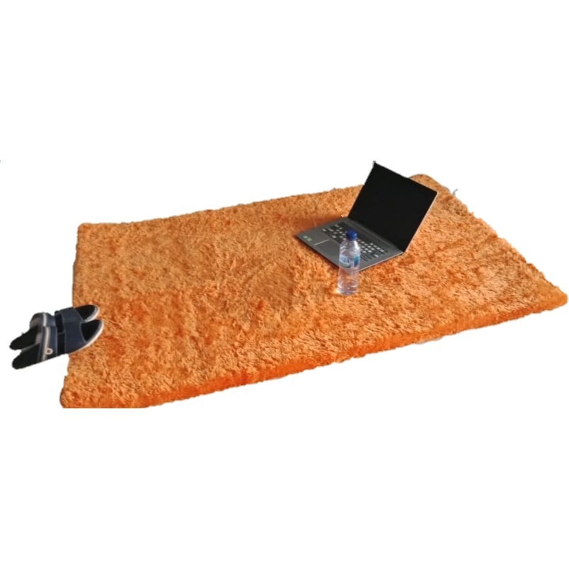 Karpet Bulu / Karpet Lantai / Karpet Karakter / Karpet Mobil / Karpet Murah / Ka]Rpet Rasfur [Cod