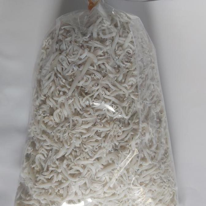 Ikan Teri Medan 1kg